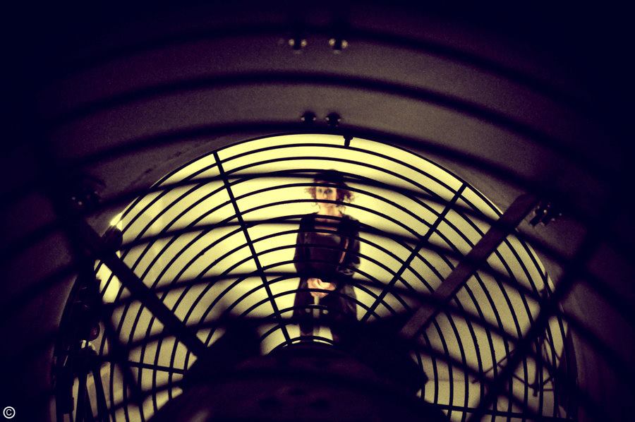 562548_10200984596438459_954038792_n