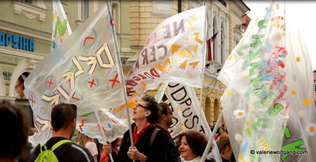 Celozaslonski zajem 27.4.2013 165155