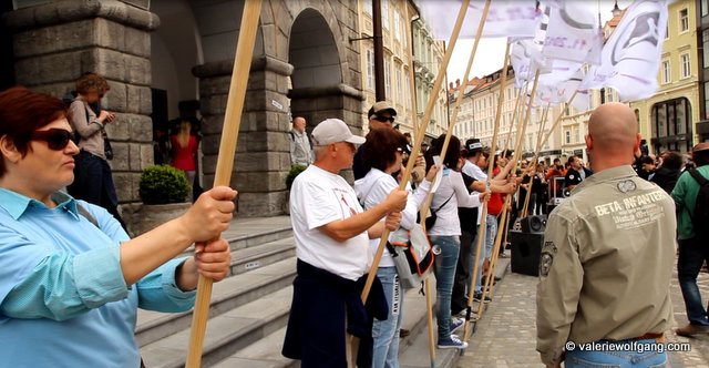 Celozaslonski zajem 27.4.2013 171258