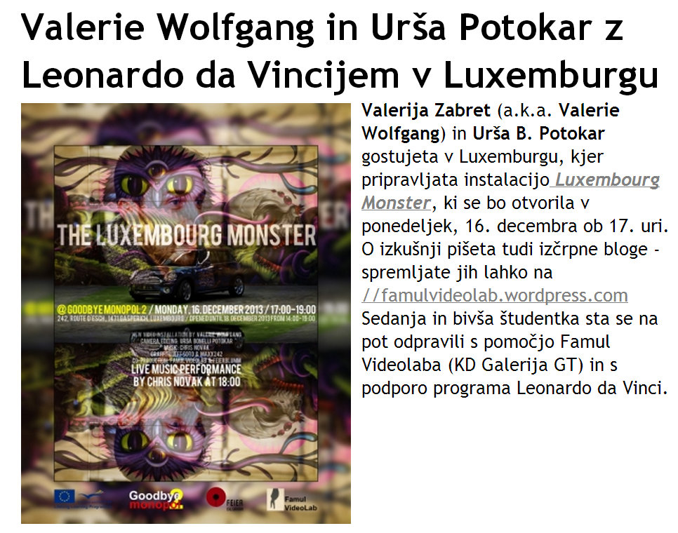 Celozaslonski zajem 21.12.2013 134459