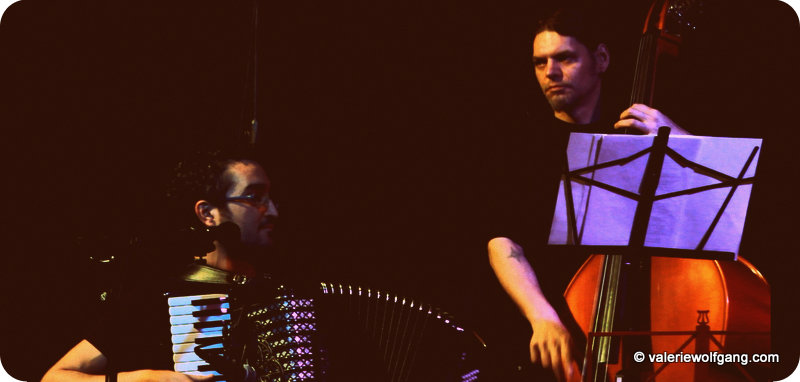 Celozaslonski zajem 21.1.2014 141443