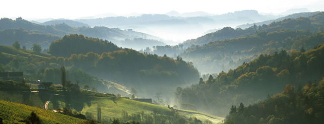 suedsteirische-weinstrasse--d