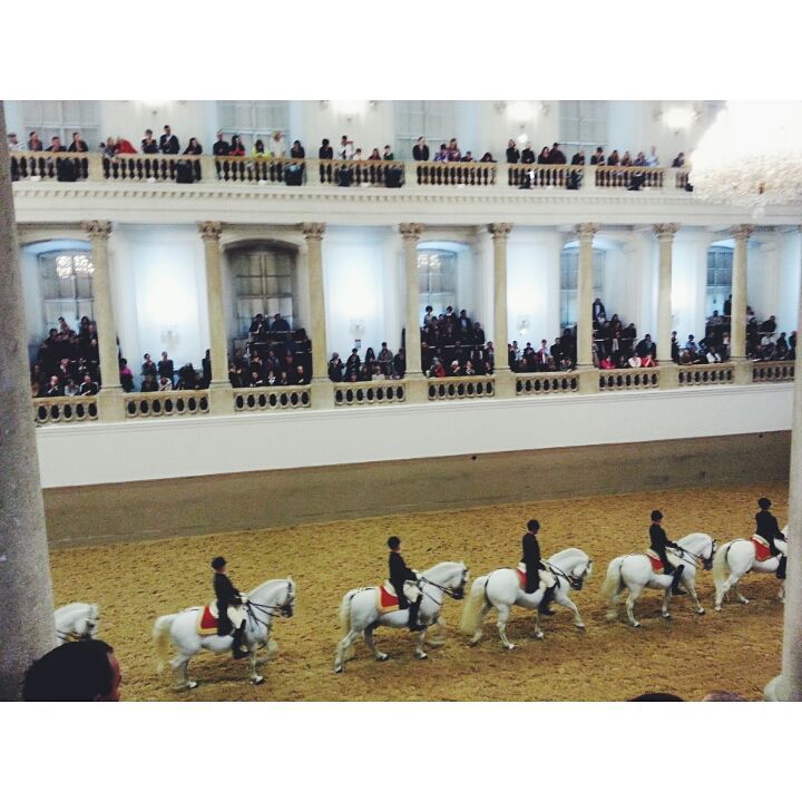 12118782_10206814451295181_2828178815775801562_n