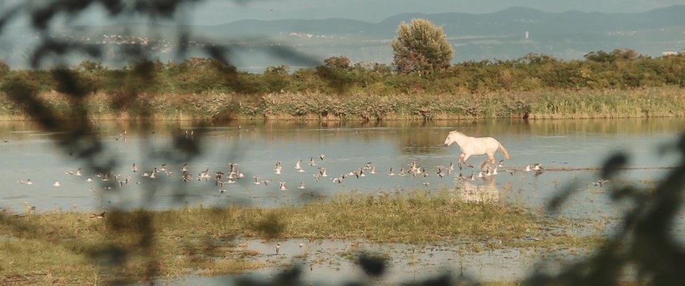 video-still-klic-nostalgije3