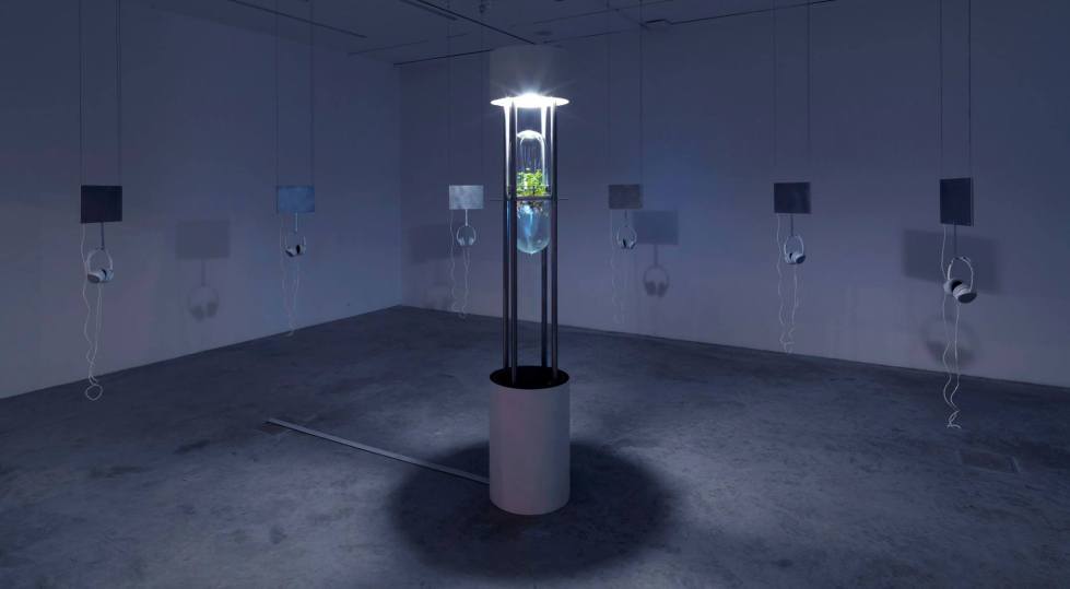 15675601_10155651508304358_6837904119291903401_o