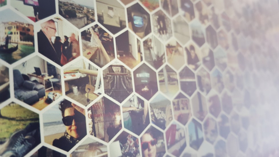 Artist-mellifera-carnica-02