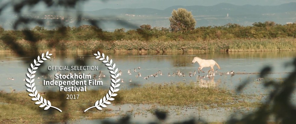 video-still-klic-nostalgije3_1536