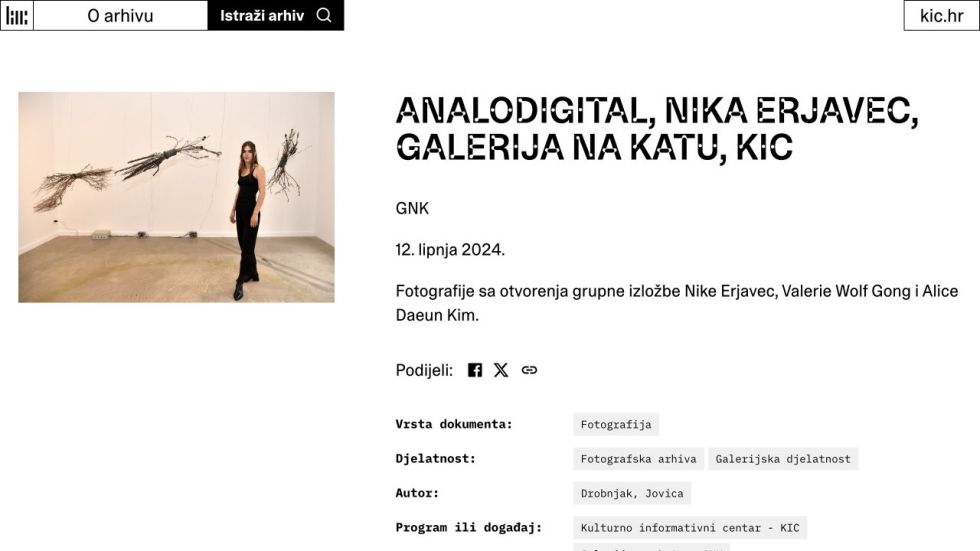 KIC digital archive page for the Analodigital group exhibition, with exhibition photograph and event details