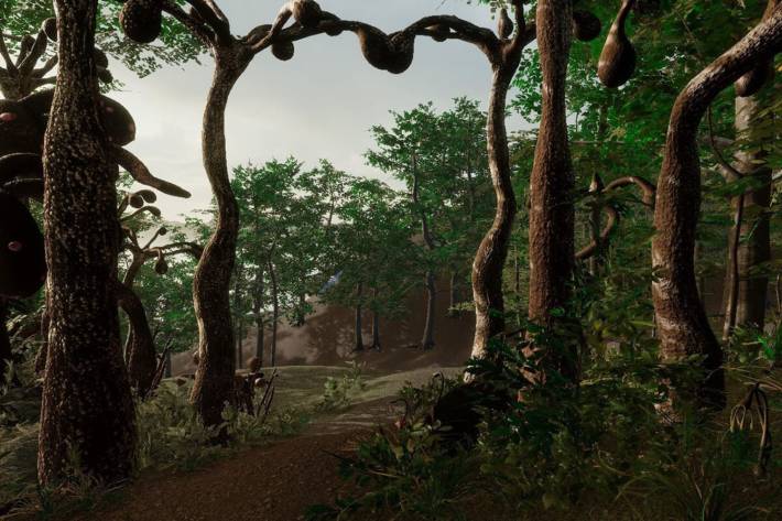 Virtual landscape from Symbioparasitica by Valerie Wolf Gang